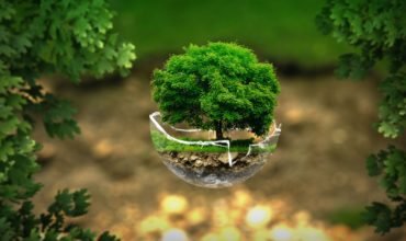 preservação ambiental